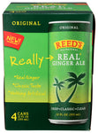 Soda Ginger Ale - 48FO (case of 6)