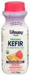 Kefir Wm Guava Jackfruit - 8 FO (Case of 6)