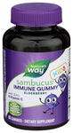 Sambucus Gummies Kids - 60PC (case of 3)