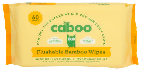 Wipes Bamboo Flushable - 60 CT (Case of 12)