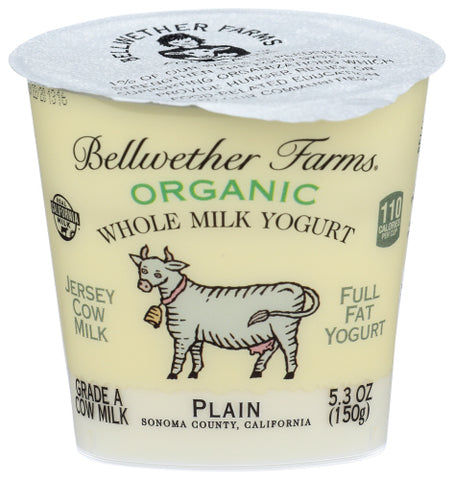 Yogurt Plain Jrsy Cow - 5.3FO (case of 12)