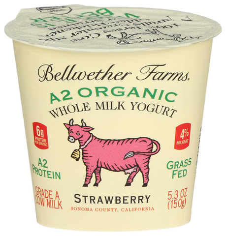 Yogurt Strwbry Jrsy Cow - 5.3FO (case of 12)