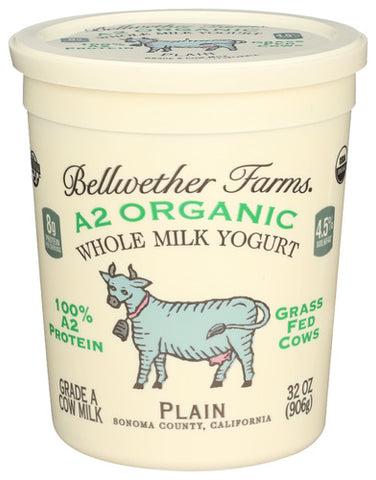 Yogurt Plain Jersey Cow - 32FO (case of 6)