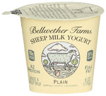 Yogurt Plain Shp - 6FO (case of 12)