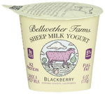 Yogurt Blackberry Shp - 6FO (case of 12)