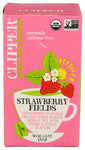 Tea Strwerry Eldrflwr Or - 1.41 OZ (Case of 6)