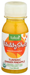 Shot Vitality Turmeric - 2FO (case of 6)