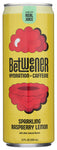 Bev Hyd Raspberry Lemon - 12 FO (Case of 12)