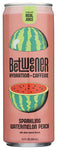 Bev Hyd Watermelon Peach - 12 FO (Case of 12)